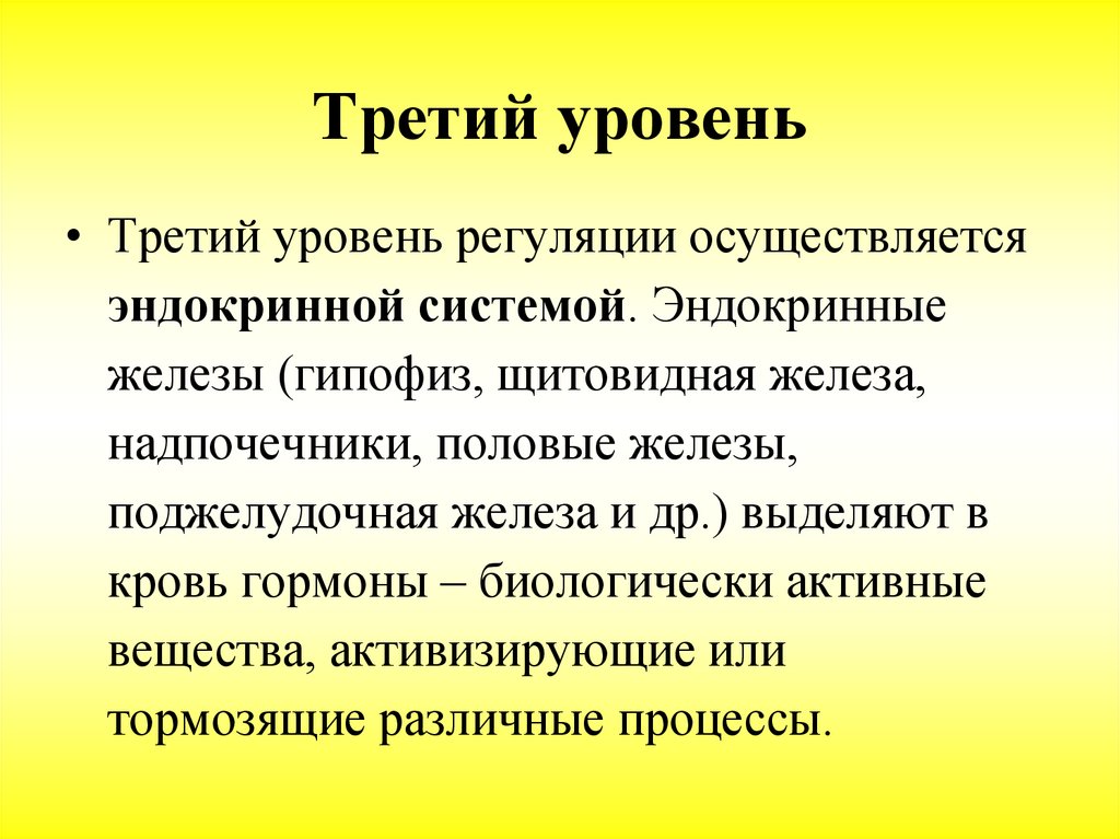 Регуляторную функцию выполняют. Регуляторные системы. Регуляторные системы организма человека. Организм человека. Регуляторные системы организма человека. Регуляторные системы организма человека кратко.