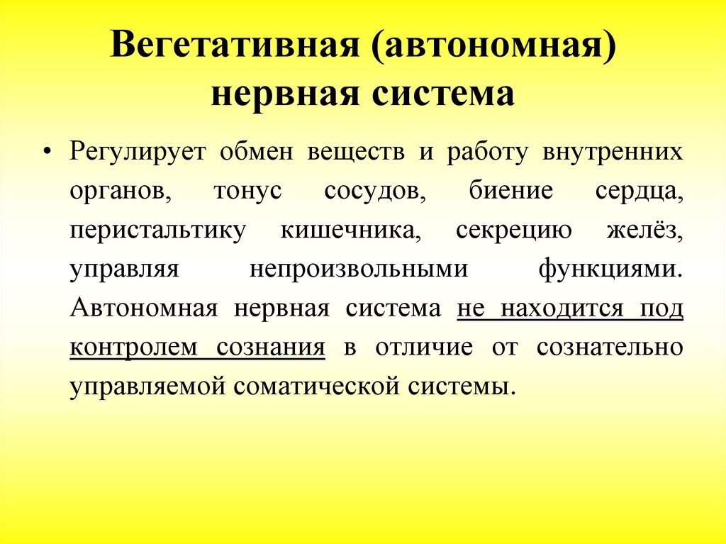 Автономная вегетативная нервная система. Регуляторные системы организма человека. Вегетативная нервная система регулирует работу. Регуляторная система органов. Регуляторные функции системы органов.