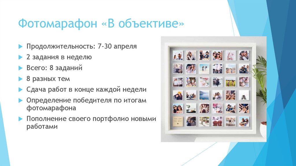 Фотомарафон «В объективе»