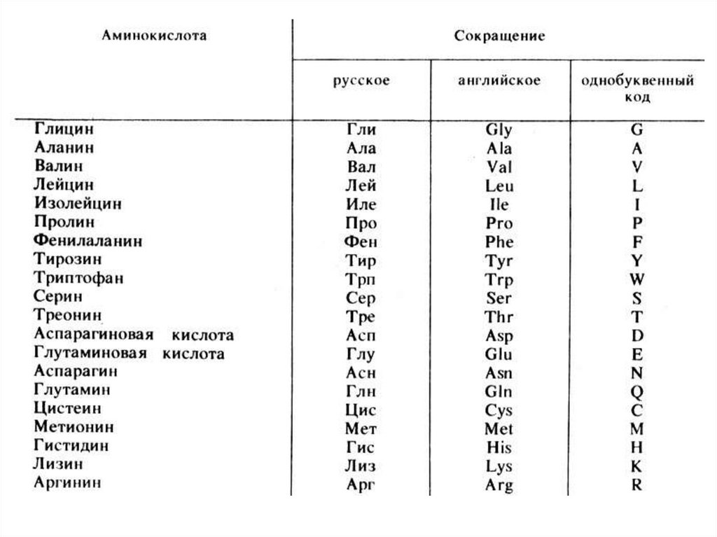 10 формул аминокислот. Сокращенные наименования аминокислот. Расшифровка аминокислот таблица. Структура аминокислот таблица. Сокращения аминокислот таблица.