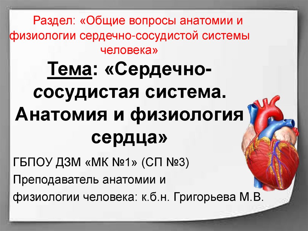 Возрастные особенности развития сердечно сосудистой системы презентация