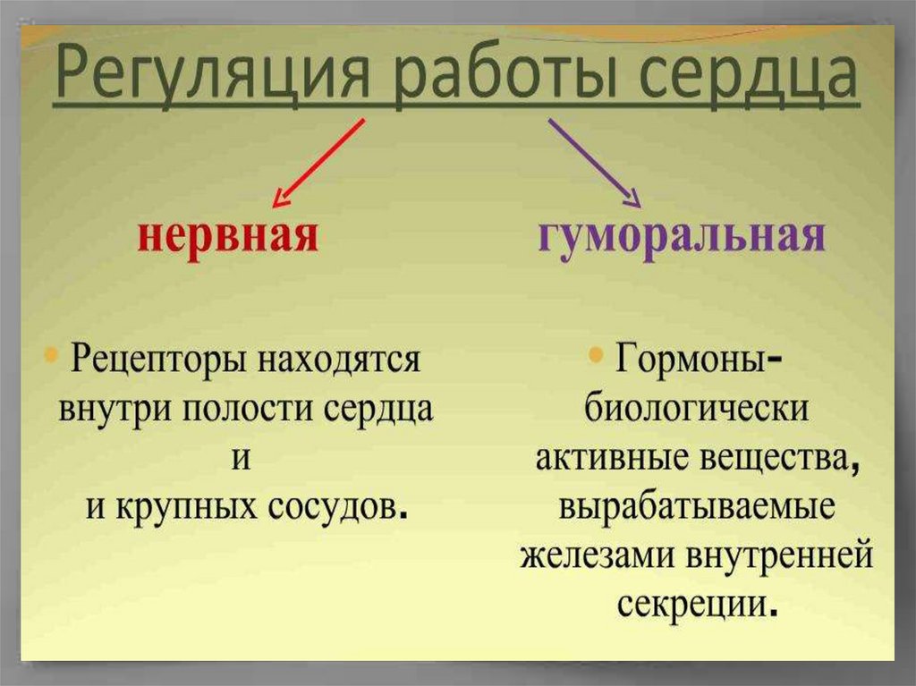 Регуляция деятельности сердца схема