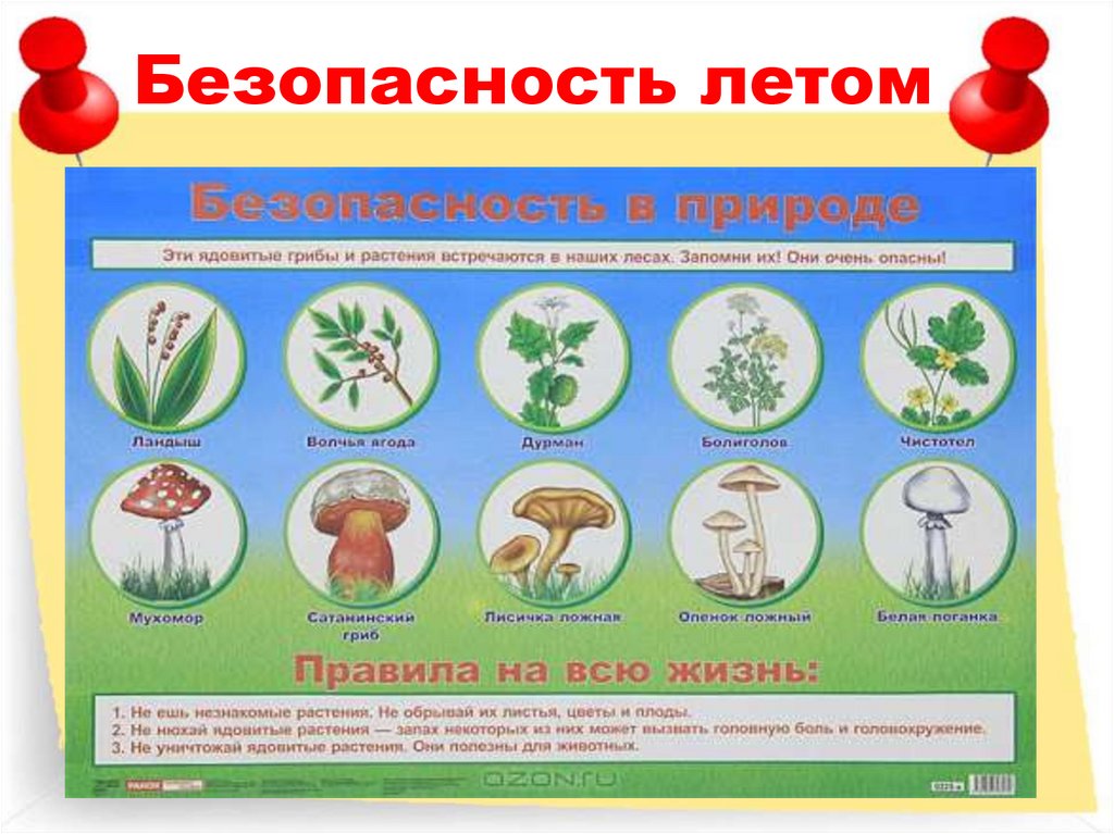 Безопасность летом