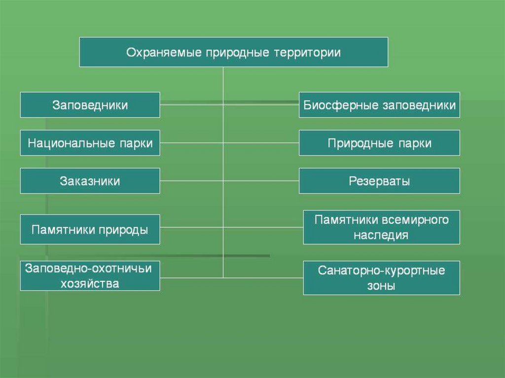 Таблица охраняемые территории россии. Особоохроняемые природные территории. Особо охраняемые природные территории. Виды ООПТ. Основные типы ООПТ.