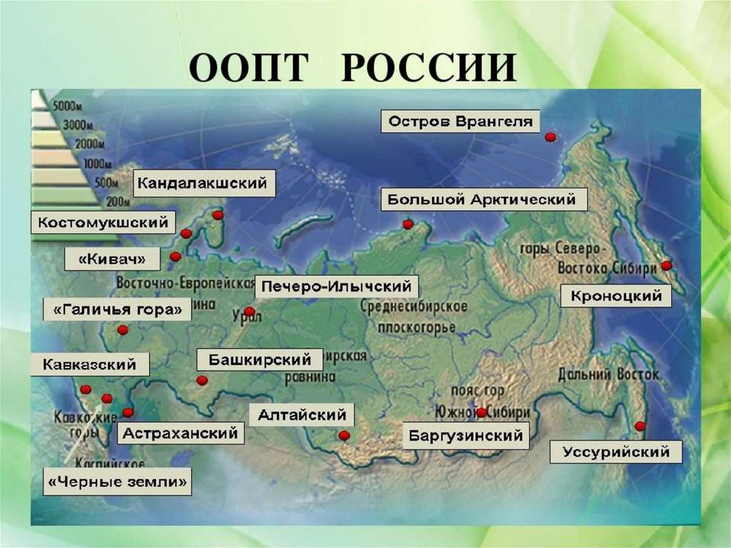 На территории района находится несколько крупных. Особо охраняемые природные территории. Особо охраняемые природные территории России. ООПТ России. Особо охраняемые природные территории (ООПТ) России.