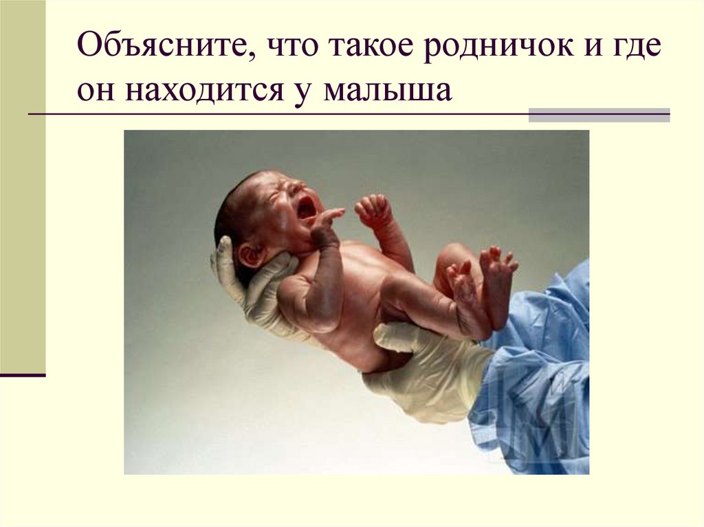 Объясните, что такое родничок и где он находится у малыша