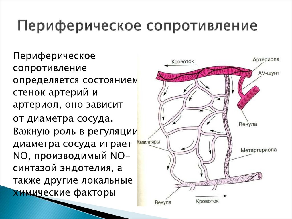 Периферическое сопротивление артерий