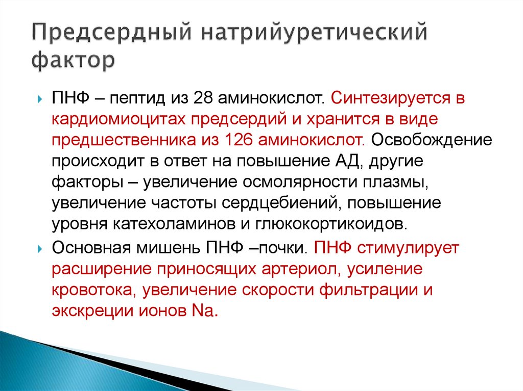 N терминальный мозговой натрийуретический пептид что это