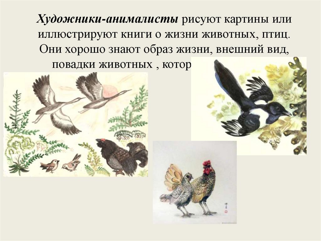 Художники-анималисты рисуют картины или иллюстрируют книги о жизни животных, птиц. Они хорошо знают образ жизни, внешний вид,