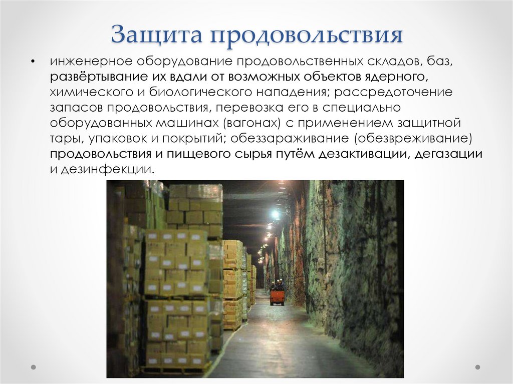 Слуга в ведении которого находились продовольственные запасы. Мероприятия по защите продовольствия. Продовольственный склад оснащение. Защита продовольствия при ЧС.