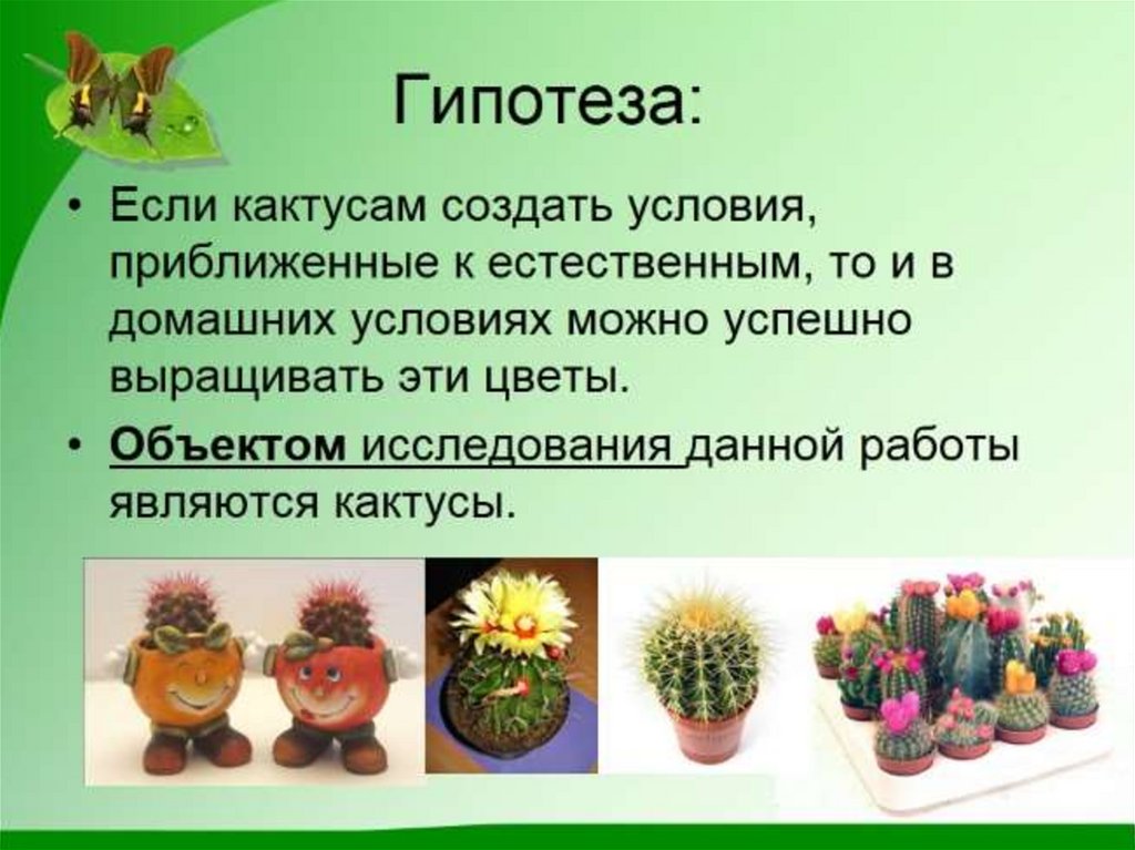 Кактусы презентация для детей