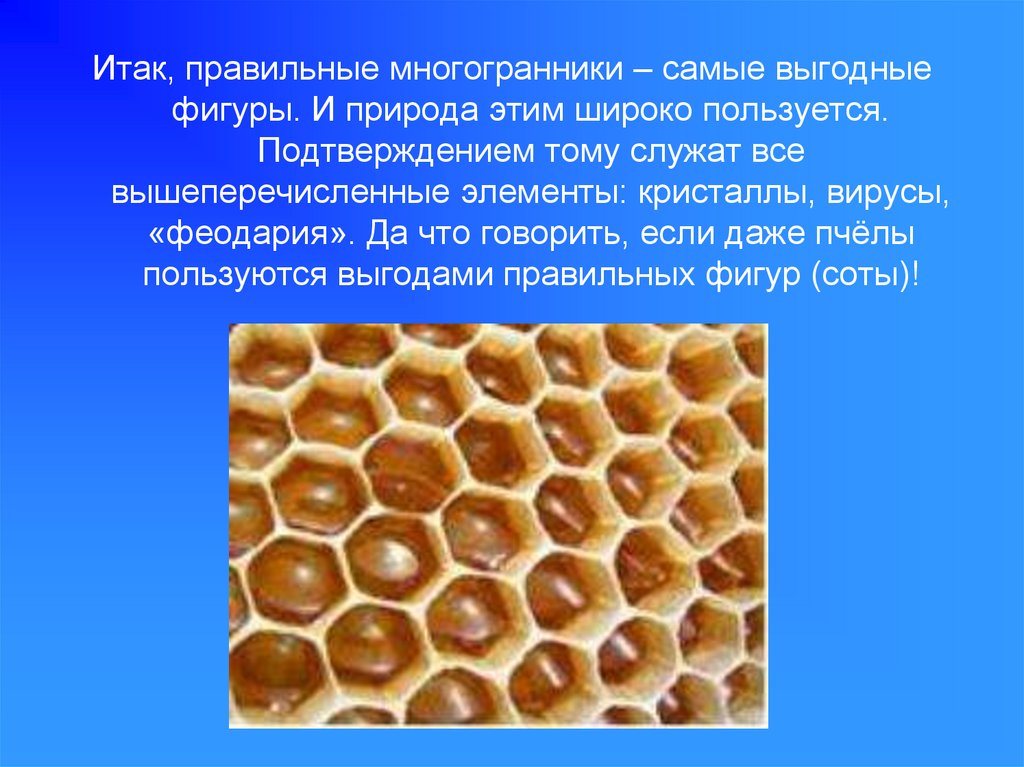 Правильные многогранники в жизни презентация