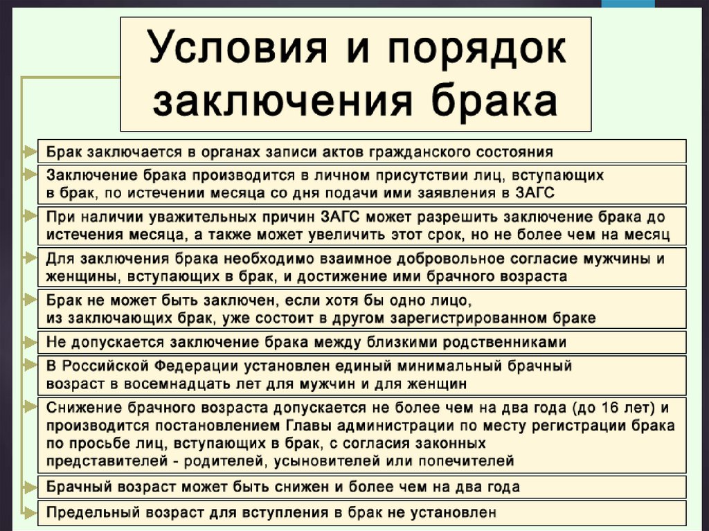 Правила заключения брачного договора план