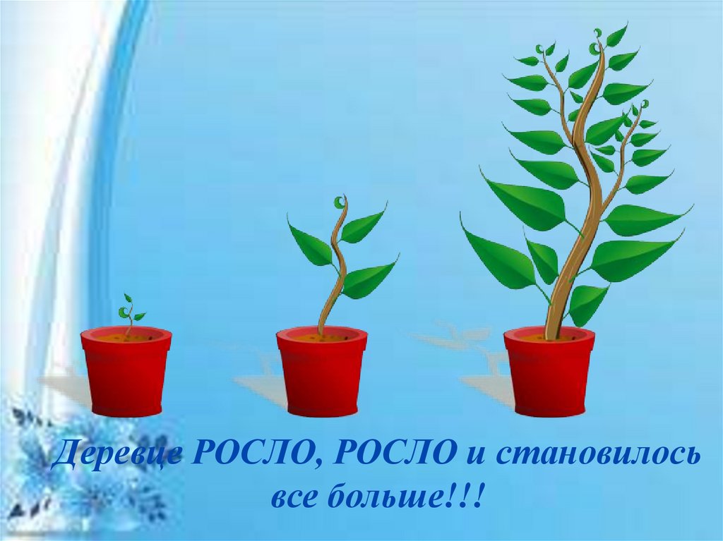 Росла растет выросла вырастет подросла. Урок русского языка в 5 классе как растут деревья.