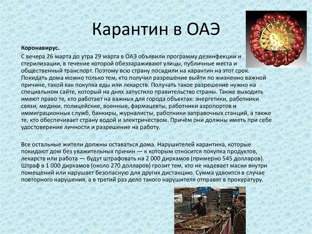 Конституция оаэ презентация