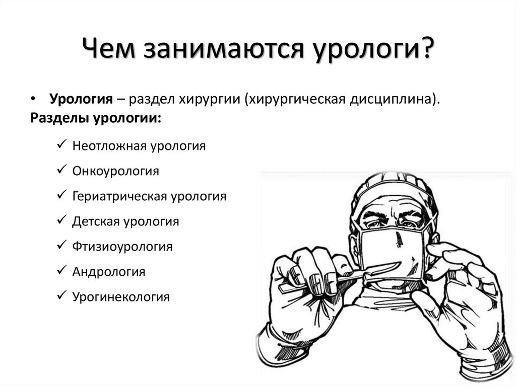 Чем занимаются урологи?