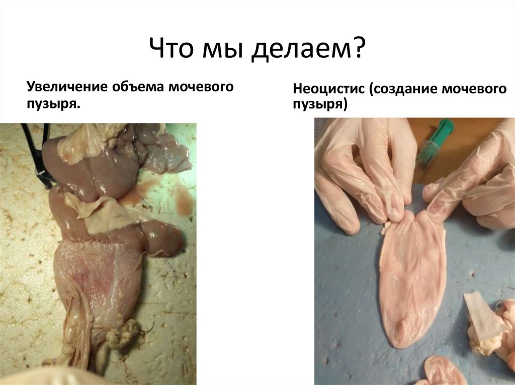Что мы делаем?