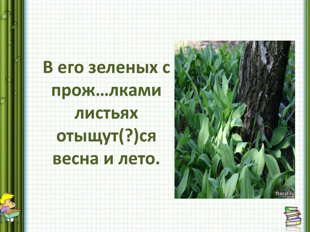 В его зеленых с прож…лками листьях отыщут(?)ся весна и лето.