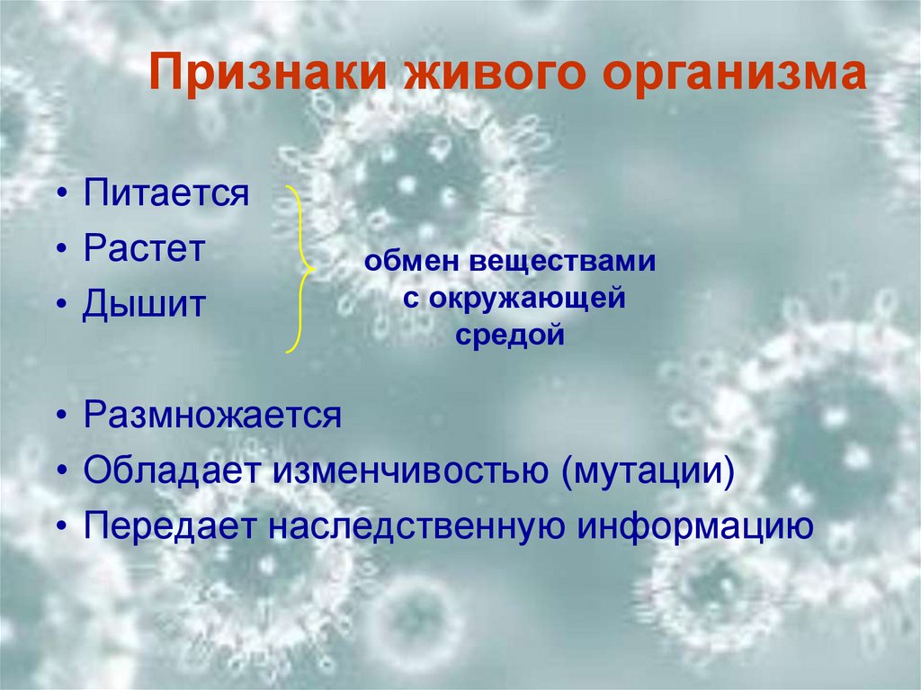 Признаки живых организмов. Качественные особенности живых организмов. Признаки живых организмов у вирусов. 9 Признаков живых организмов. 8 Признаков живых организмов.