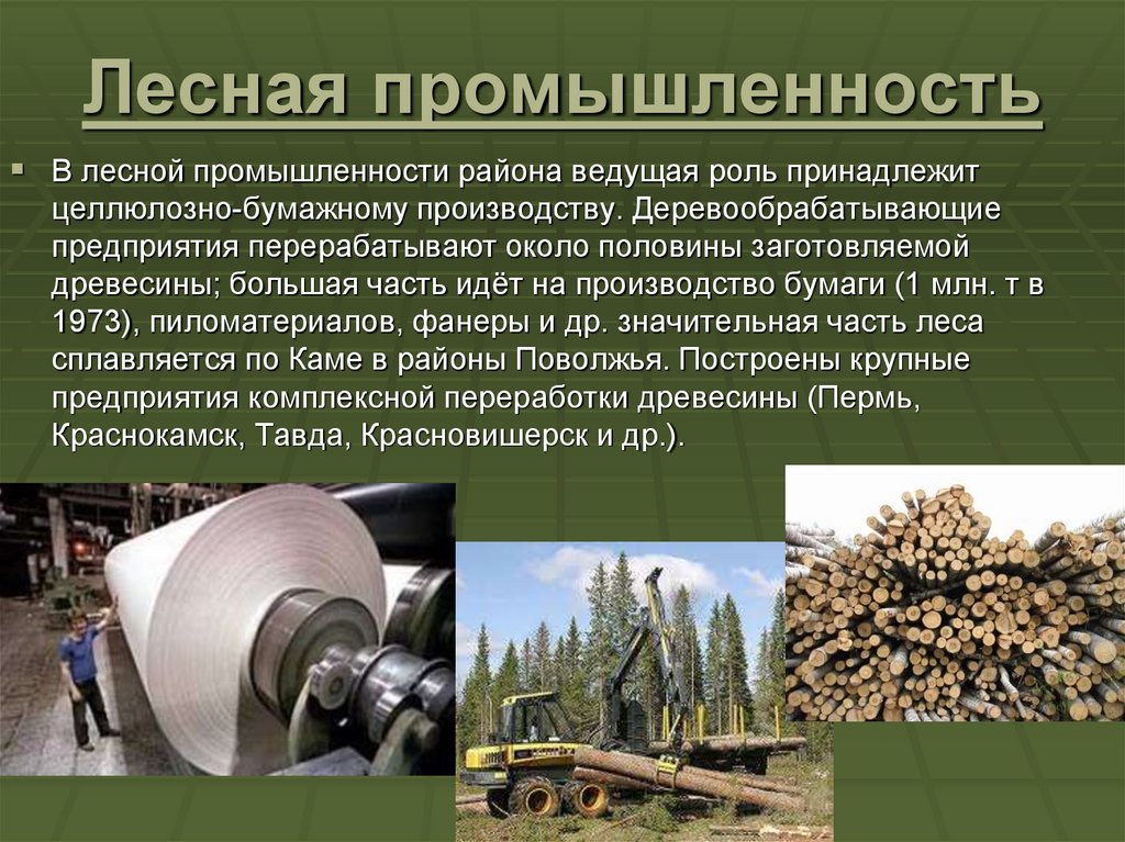 Объясните почему целлюлозно бумажное. Производимая продукция Лесной промышленности на Урале. Деревообрабатывающая и целлюлозно – бумажная промышленность Урал. Лесная промышленность 9 кл. Лесная промышленность ЦБП 3 района.