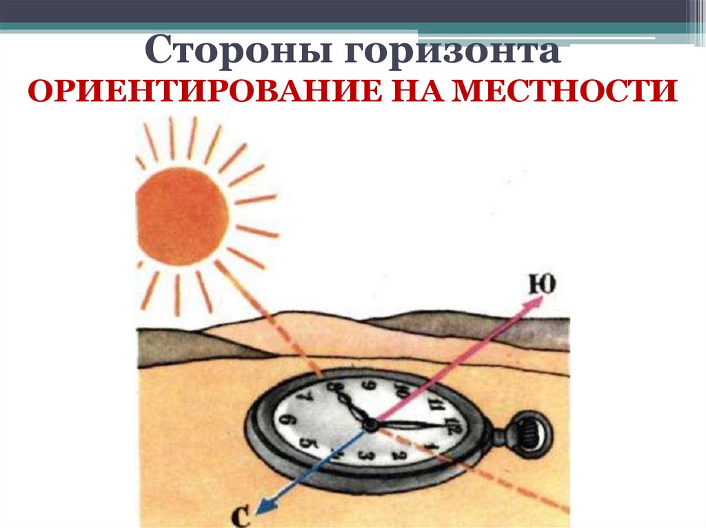 Ориентирование по солнцу и часам укажите по рисунку