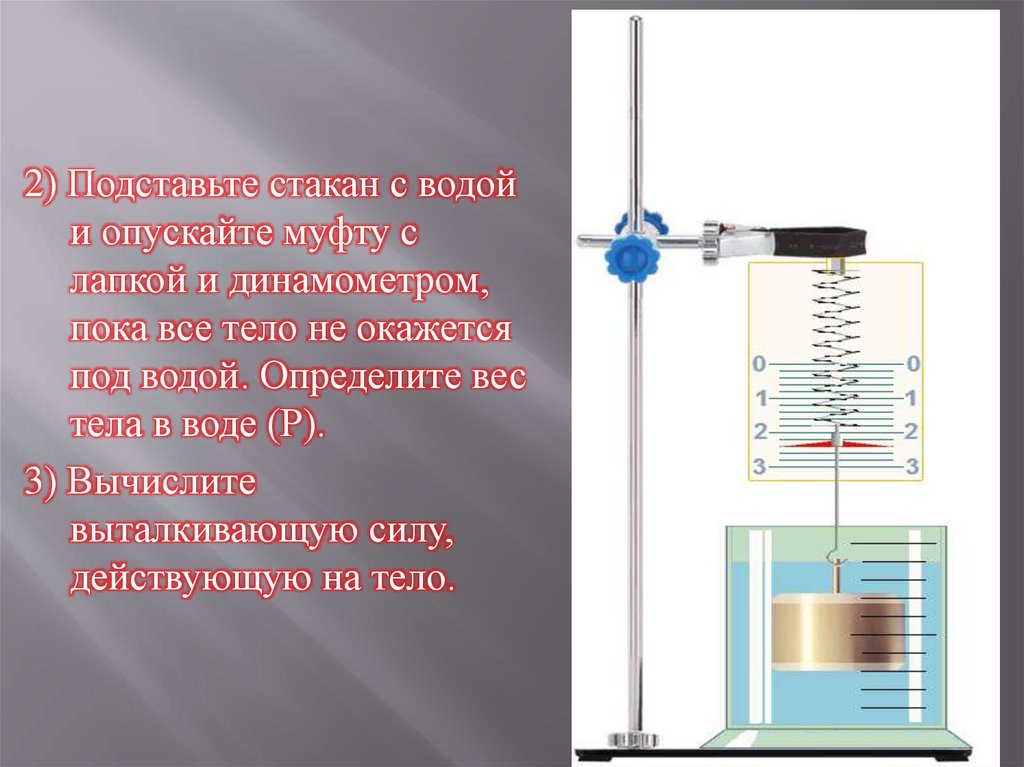 Масса тела лабораторная работа