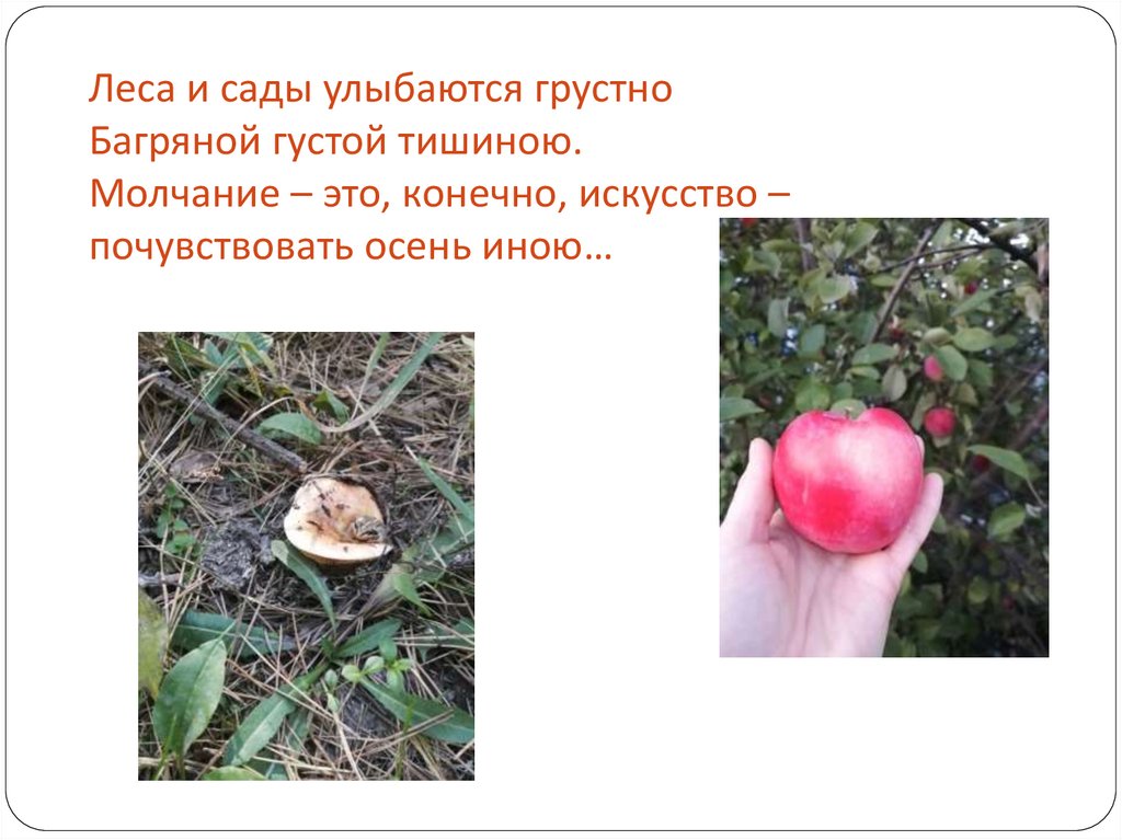 Леса и сады улыбаются грустно Багряной густой тишиною. Молчание – это, конечно, искусство – почувствовать осень иною…