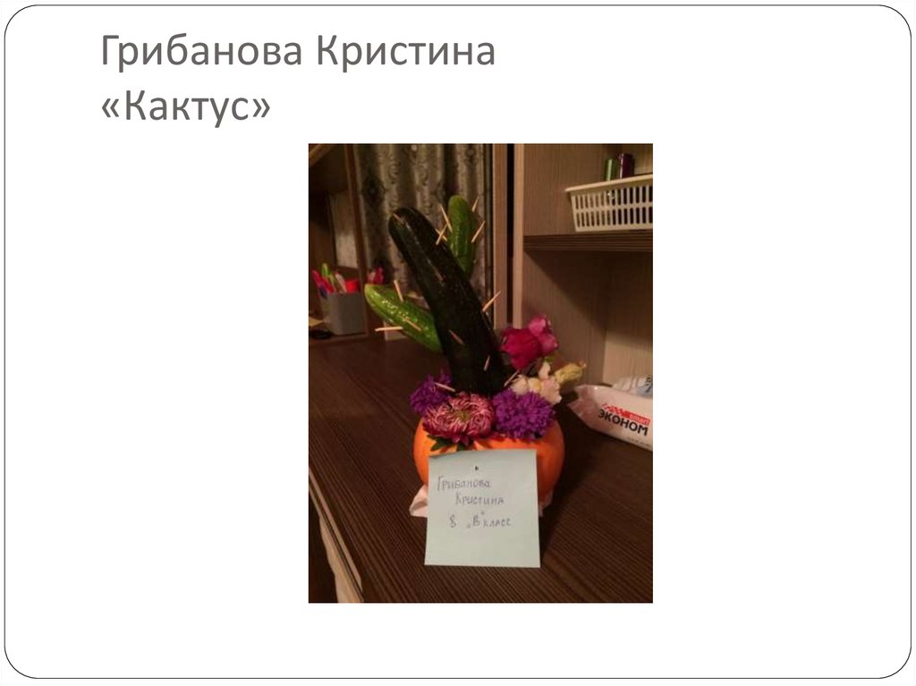 Грибанова Кристина «Кактус»