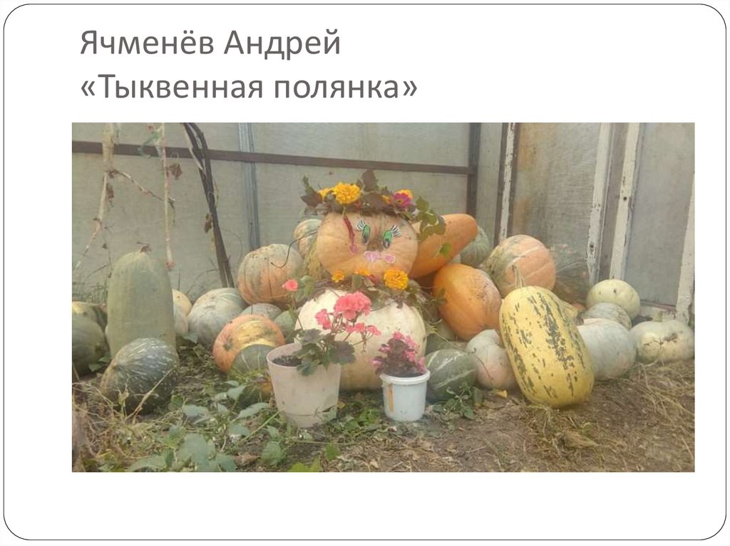 Ячменёв Андрей «Тыквенная полянка»