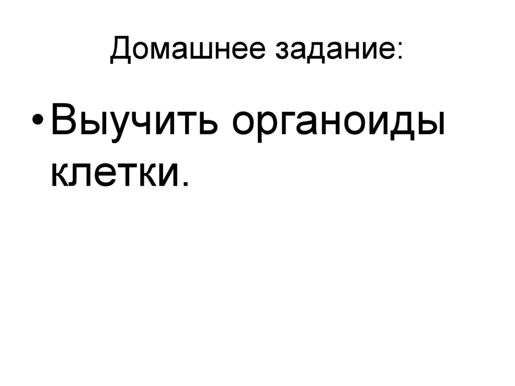 Домашнее задание:
