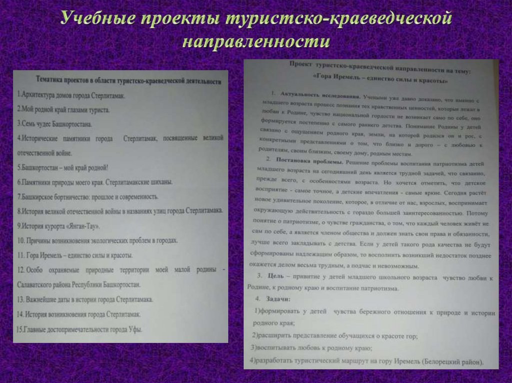 Учебные проекты туристско-краеведческой направленности