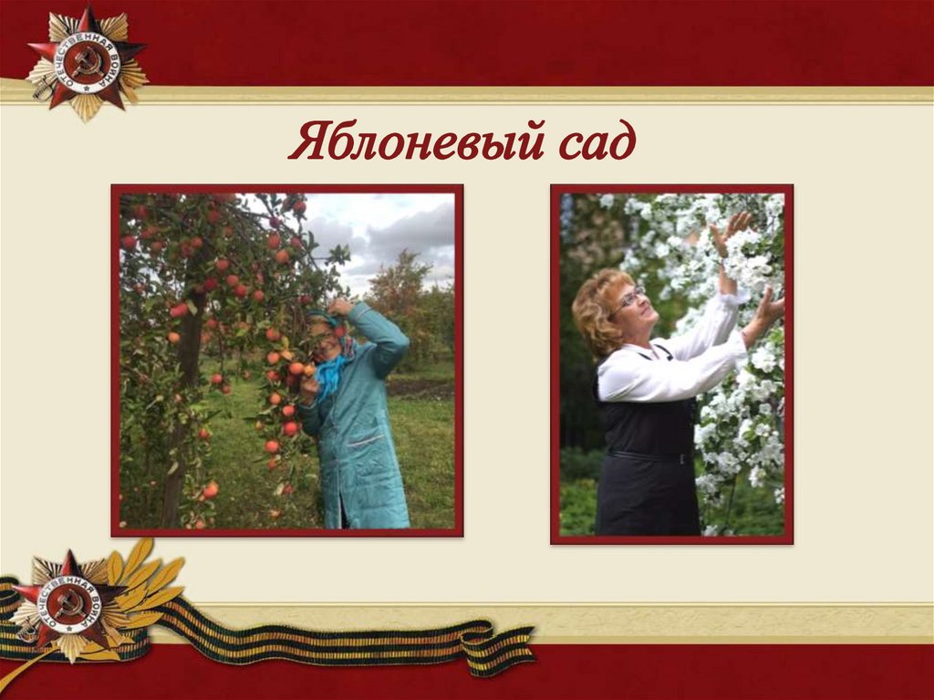 Яблоневый сад