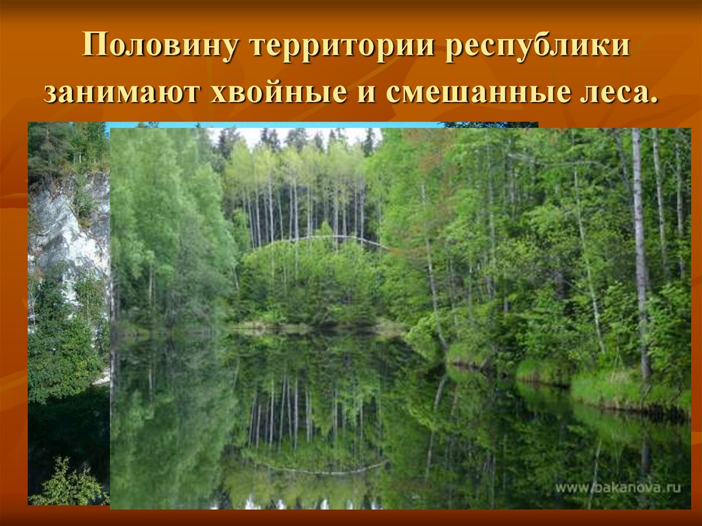 Леса половина территории россии. Воды смешанных лесов. Внутренние воды смешанных лесов. Внутренние воды смешанных лесов России. Воды смешанных лесов в России.