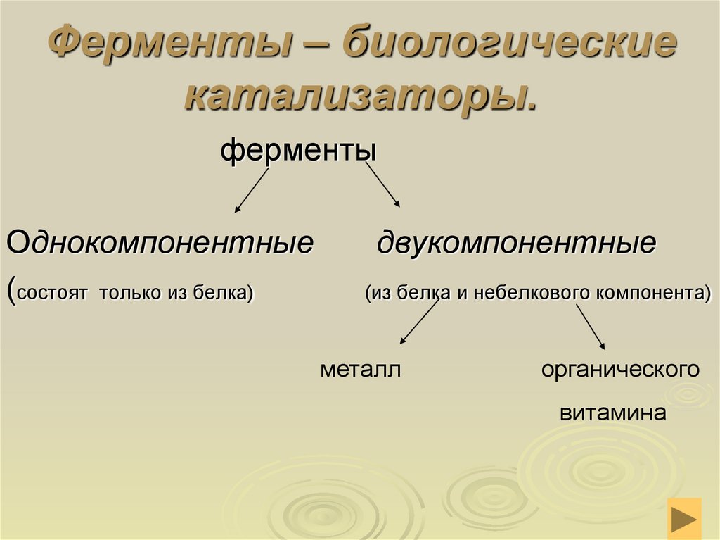 Ферменты биологические катализаторы 10 класс презентация