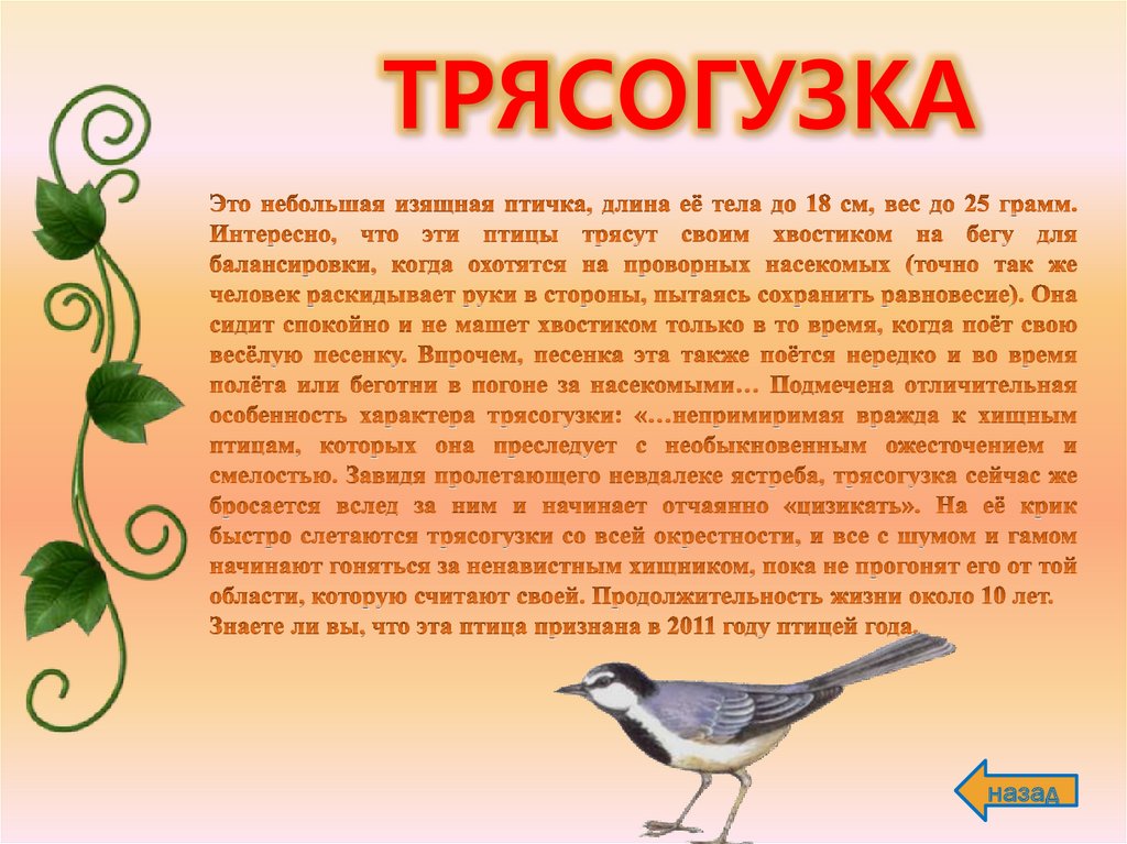 На рисунке изображен процесс который представляет собой реакцию организма перелетных птиц ответы огэ