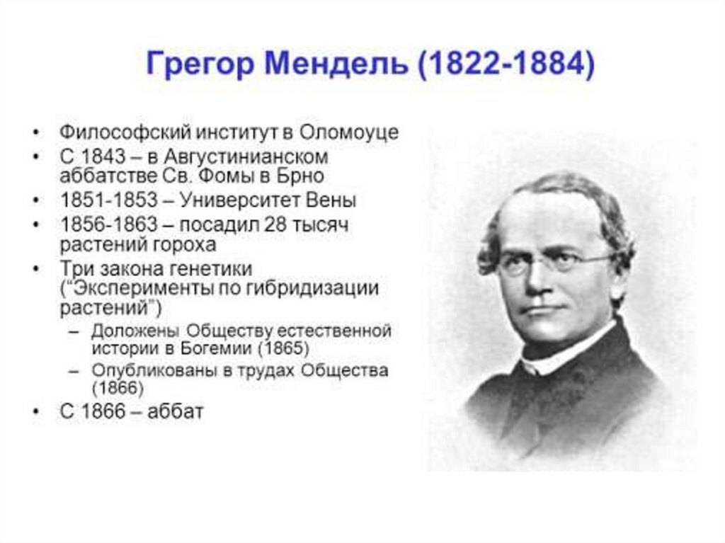 Биография менделя кратко. Грегор Иоганн Мендель(1822 – 1884). 2. Г. Мендель – основоположник генетики;. Грегор Мендель генетика. Презентация Грегор Мендель (1822 - 1884г.г.).