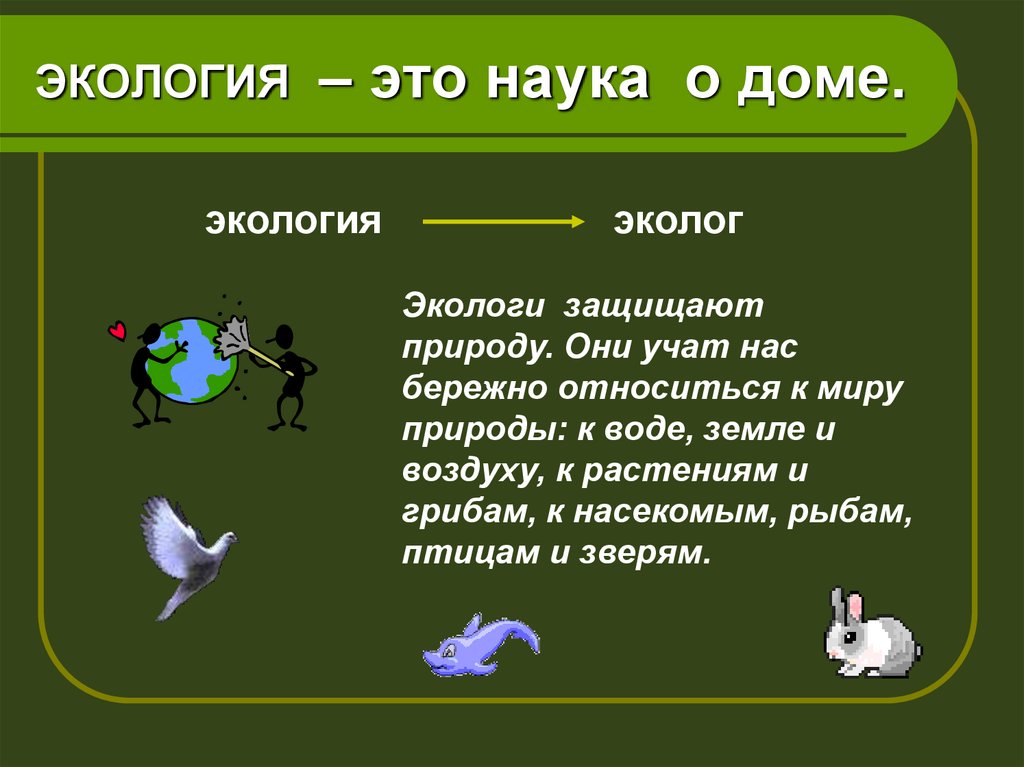 Окружавшие 3. Экологические загадки. Загадки про экологию. Загадки на тему окружающая среда. Вопросы про экологию для детей.