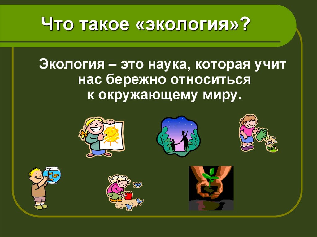 Игра по экологии 5 класс презентация