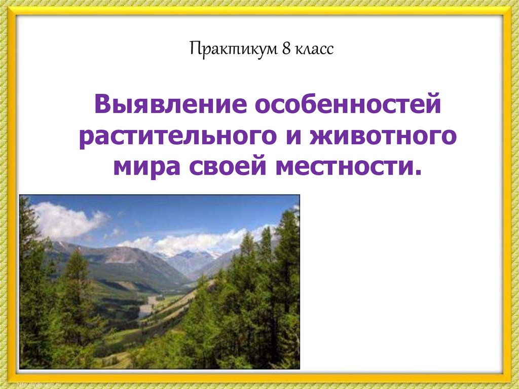 Вывод характеристика растительности участка местности своего края