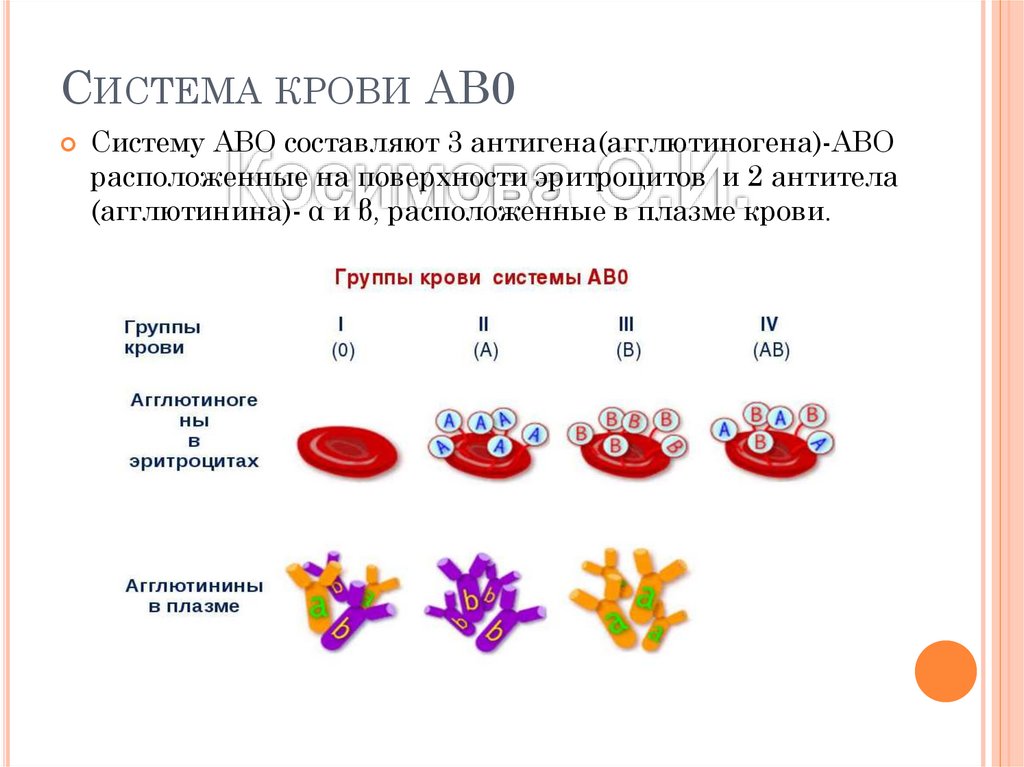 Гомозиготная 2 группа крови. Группы крови по системе резус фактор. Система группы крови АВО И резус-фактора. Нулевой резус-фактор крови по системе АВО. Резус фактор эритроциты сыворотка крови.