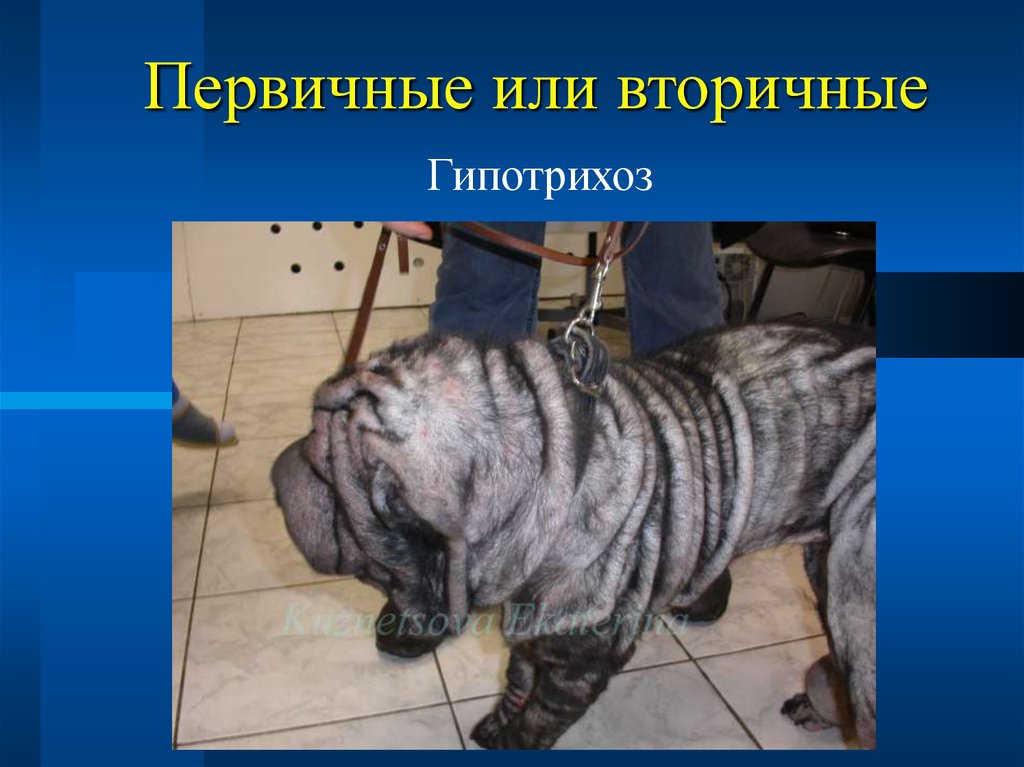 Первичные или вторичные