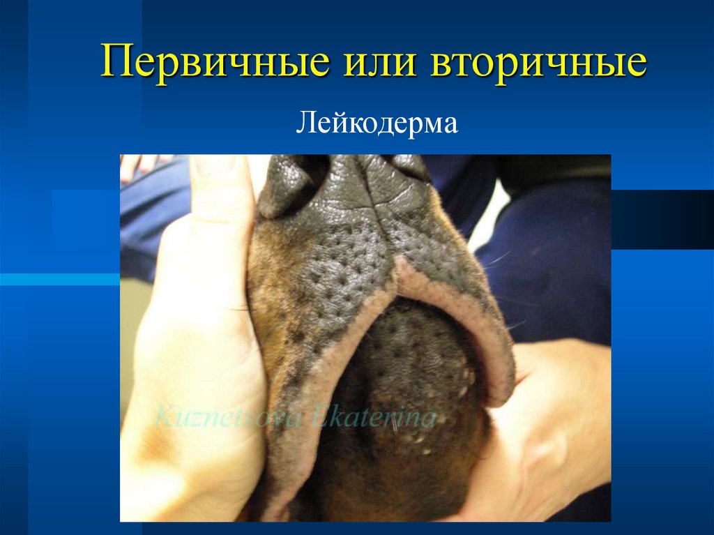 Первичные или вторичные