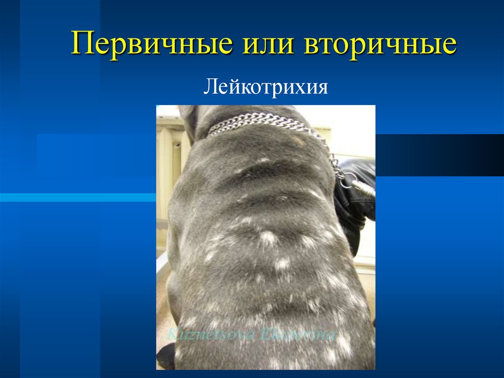 Первичные или вторичные