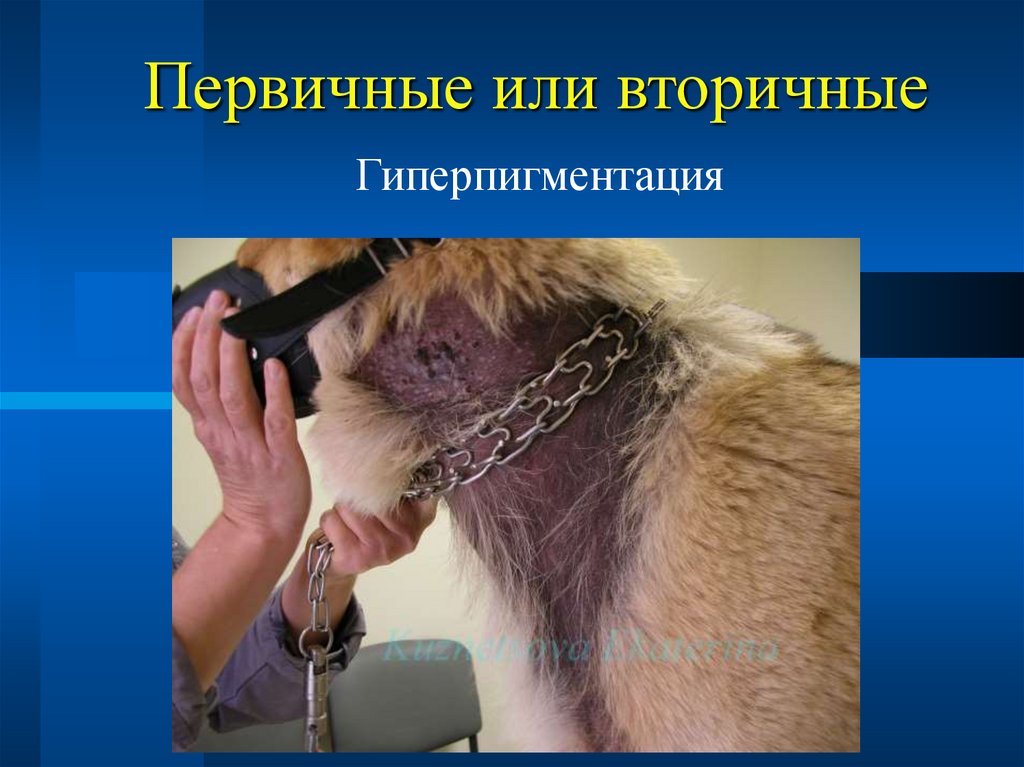 Первичные или вторичные