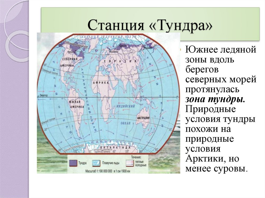 Тундра где находится карта