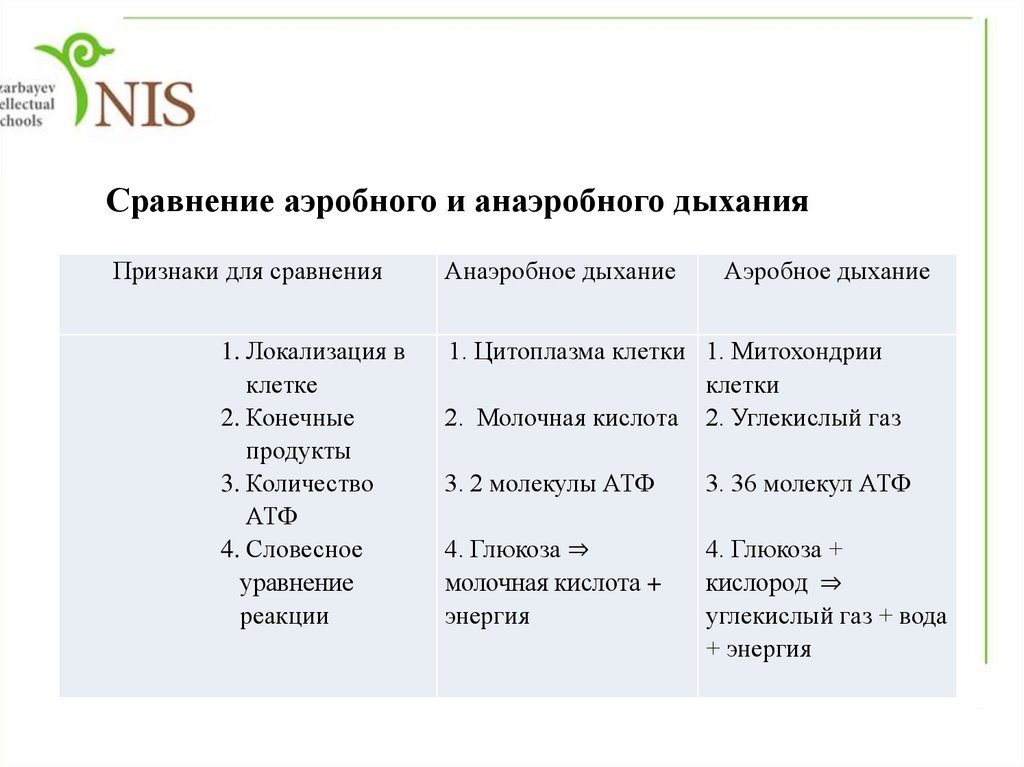 Сравнение брожения и дыхания лабораторная работа