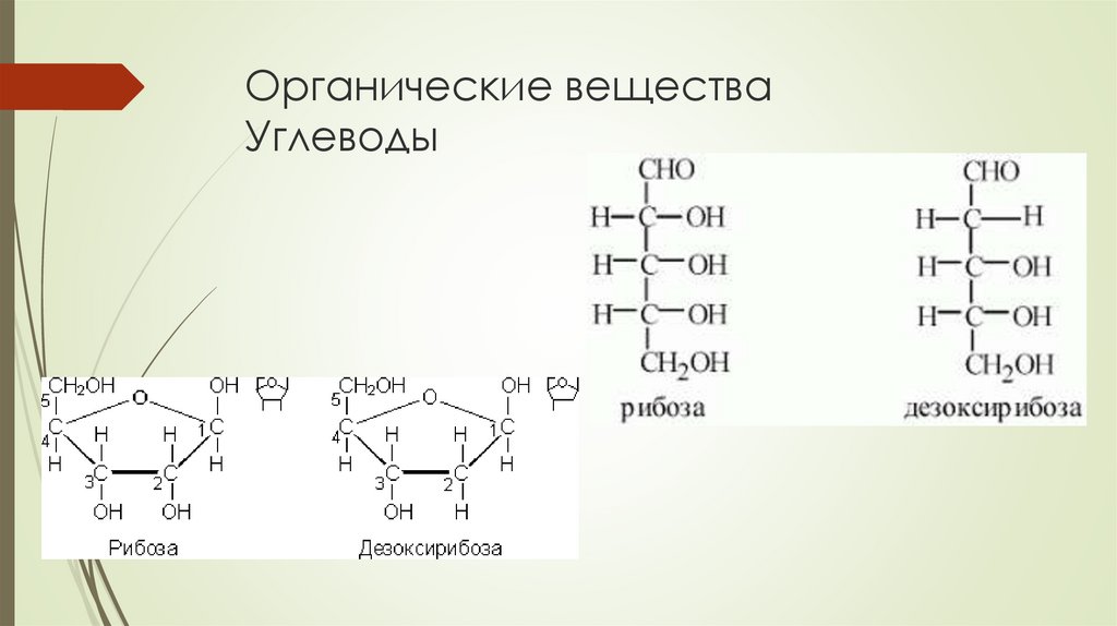 Органические вещества Углеводы