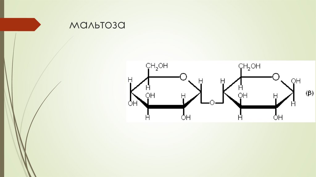 мальтоза