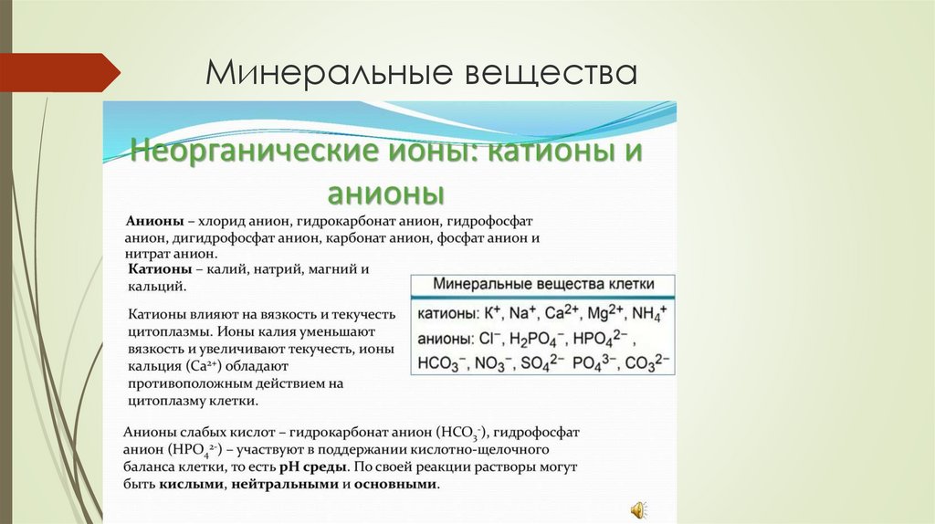 Минеральные вещества