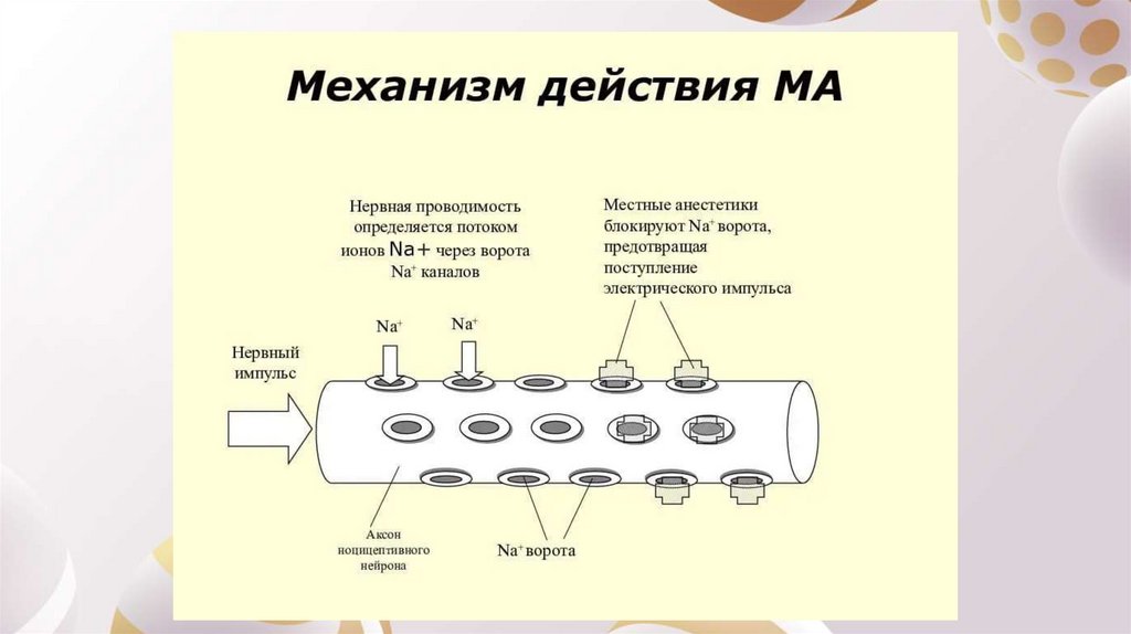 Системная токсичность местных анестетиков презентация